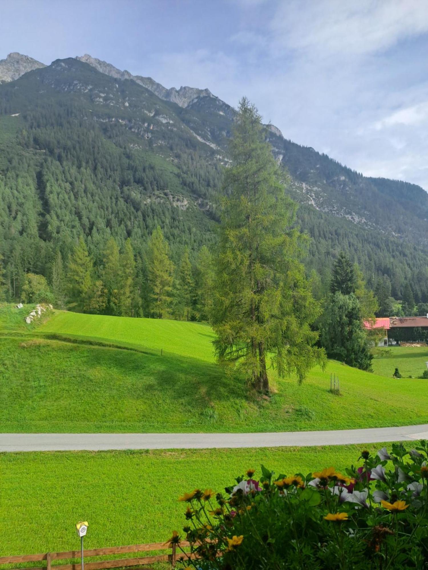 Landgasthaus Appartement Birkegg لوتاش المظهر الخارجي الصورة